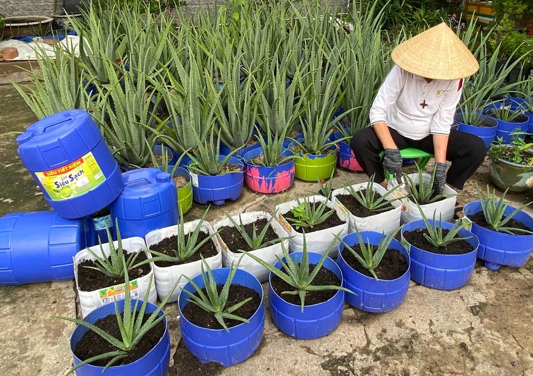 TÂM SỰ CỦA NHỮNG CHIẾC BÌNH