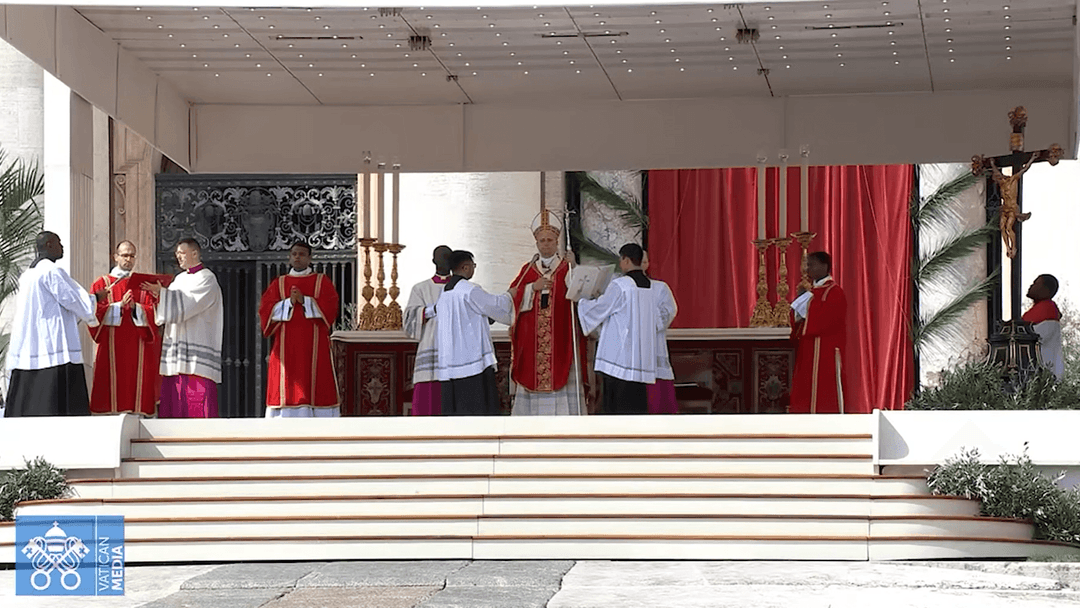 THÁNH LỄ LÁ: CHÚA GIÊSU VUA HOÀ BÌNH - KHÔNG AI CÓ THỂ VIỆN DẪN CHÚA ĐỂ BIỆN MINH CHO CHIẾN TRANH