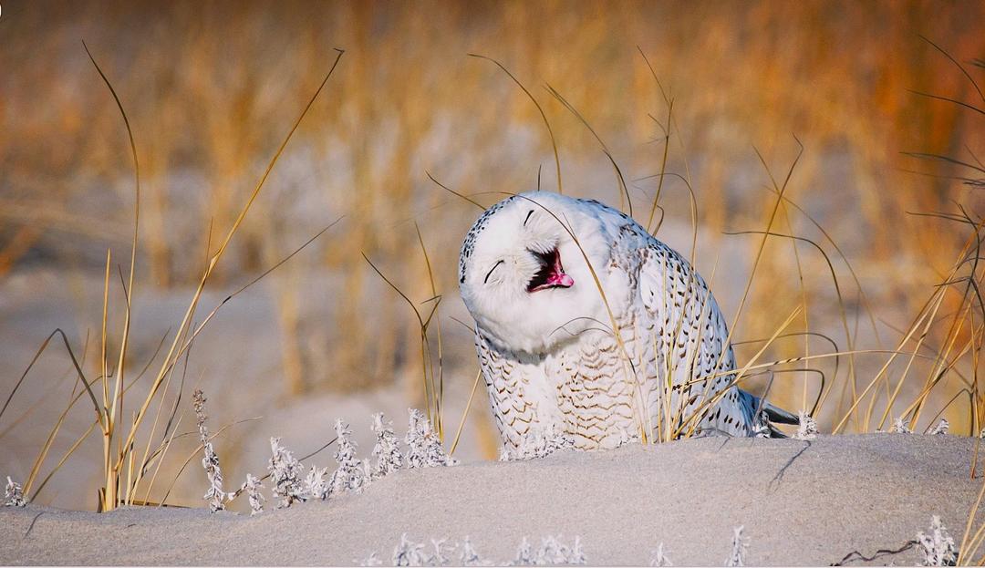 NGƯỜI KHÔN NGOAN THỰC TIỄN LÀ NGƯỜI BIẾT CÁCH YÊU THƯƠNG TRONG ĐỜI SỐNG HẰNG NGÀY