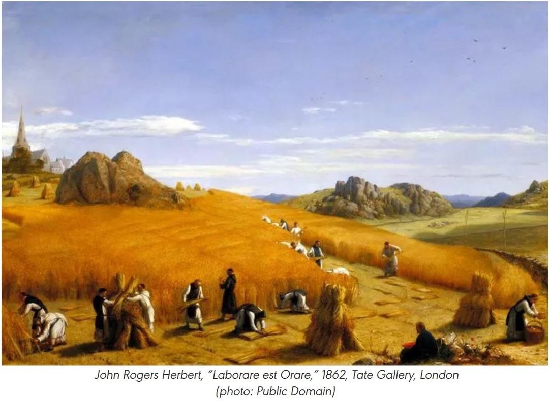 HÃY BƠI, CHỨ ĐỪNG TRÔI DẠT: SỨC MẠNH CỦA MỘT QUY TẮC SỐNG CÁ NHÂN