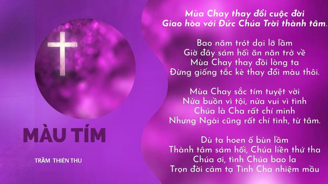 MÀU TÍM MÙA CHAY